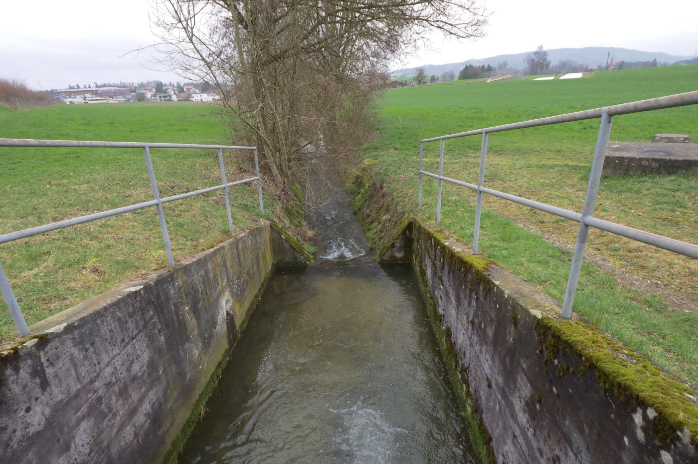 chraebsbach waengi