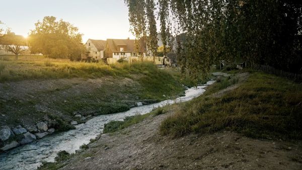 Geisslibach nach der Revitalisierung und Entfernung des Mühlewehrs, die Ufer sind noch wenig bewachsen, im Hintergrund ist das Dorf und ein Sonnenuntergang